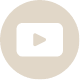 Youtube icon